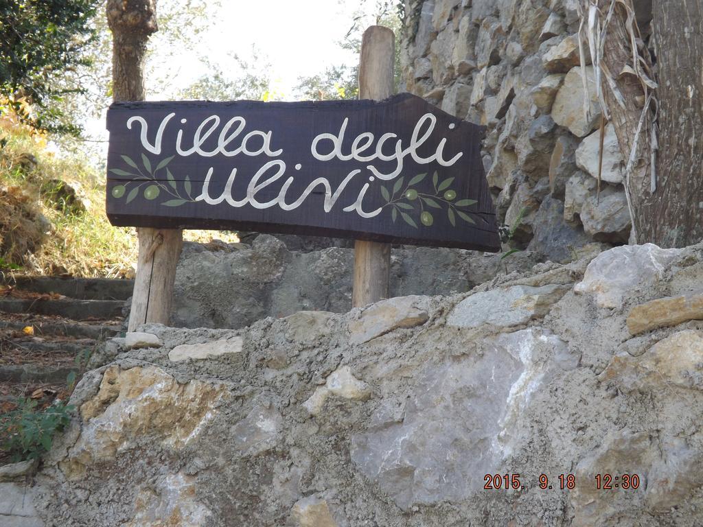Appartamento Villa Degli Ulivi Sant'Agnello Room photo